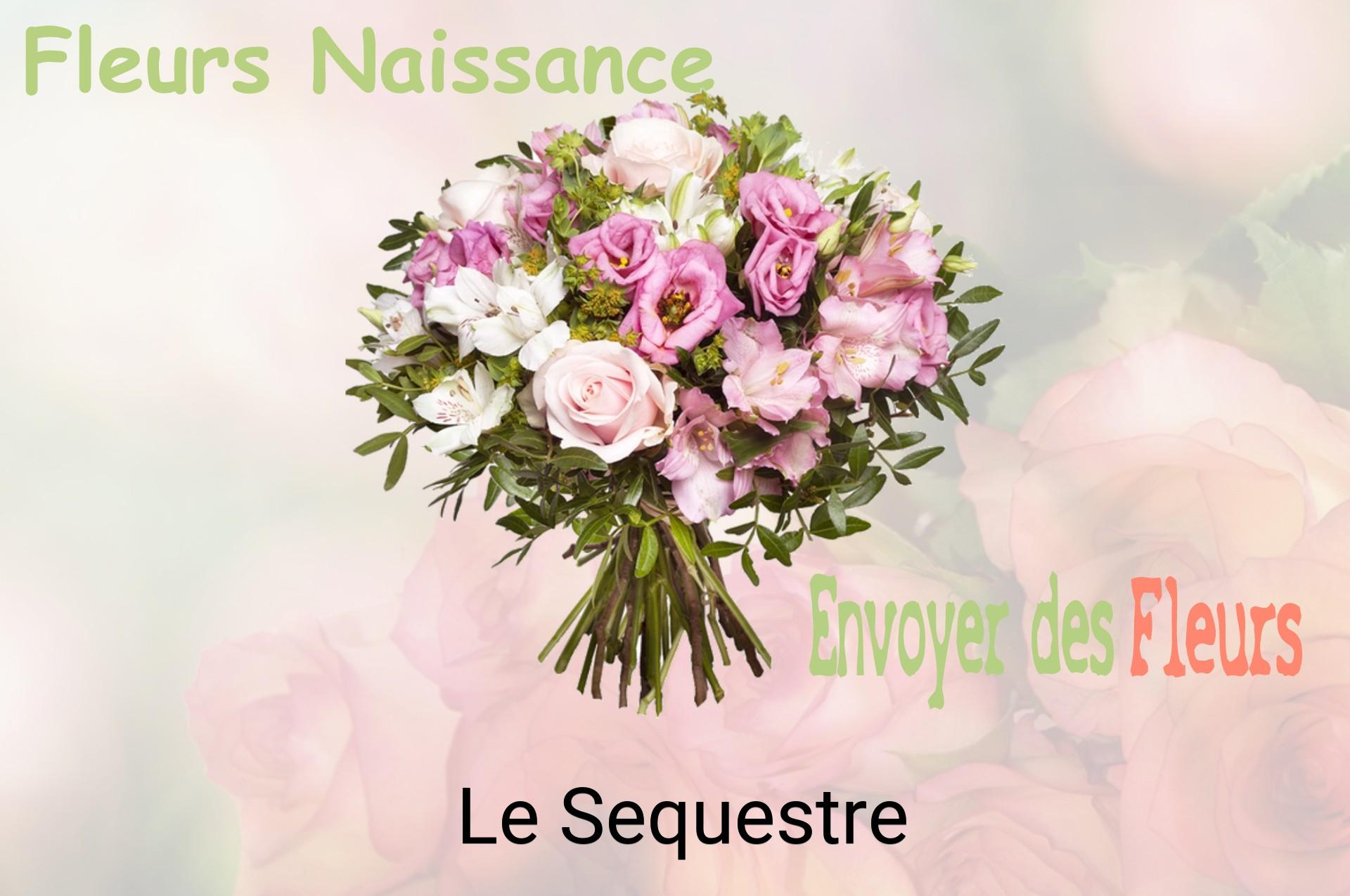 Bouquet de fleurs de naissance livré à Le Sequestre